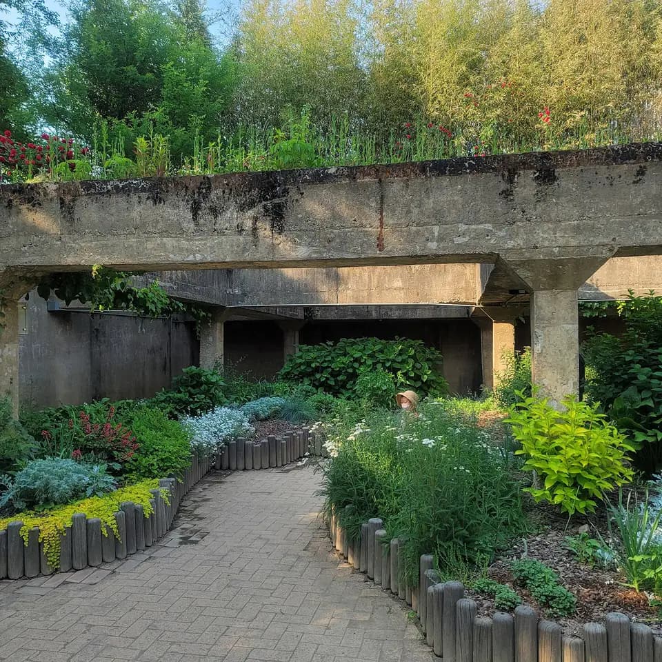 Seoul Forest