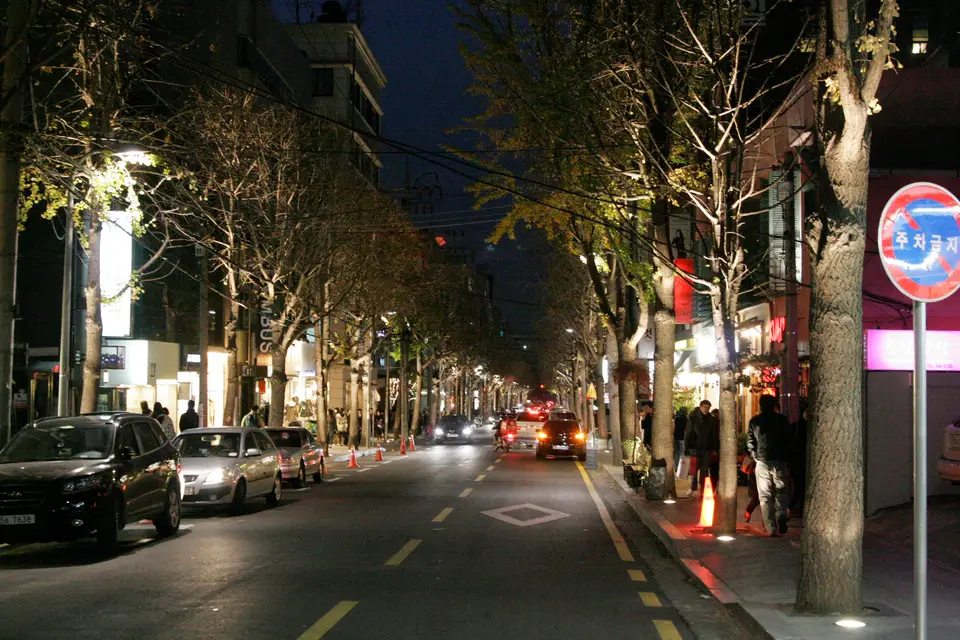 Garosu-gil (tree-lined shopping street in Sinsa-dong)