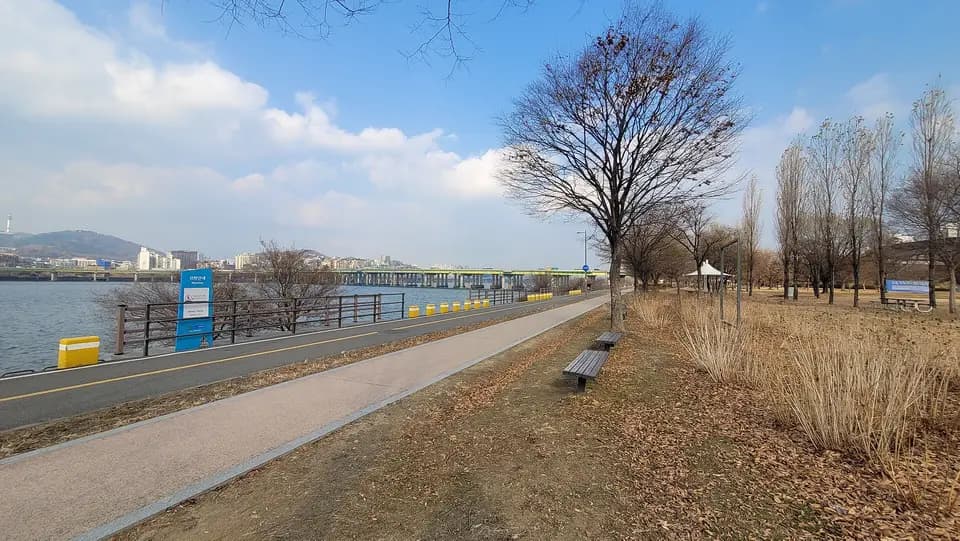 Jamwon Hangang Park (Han River park)